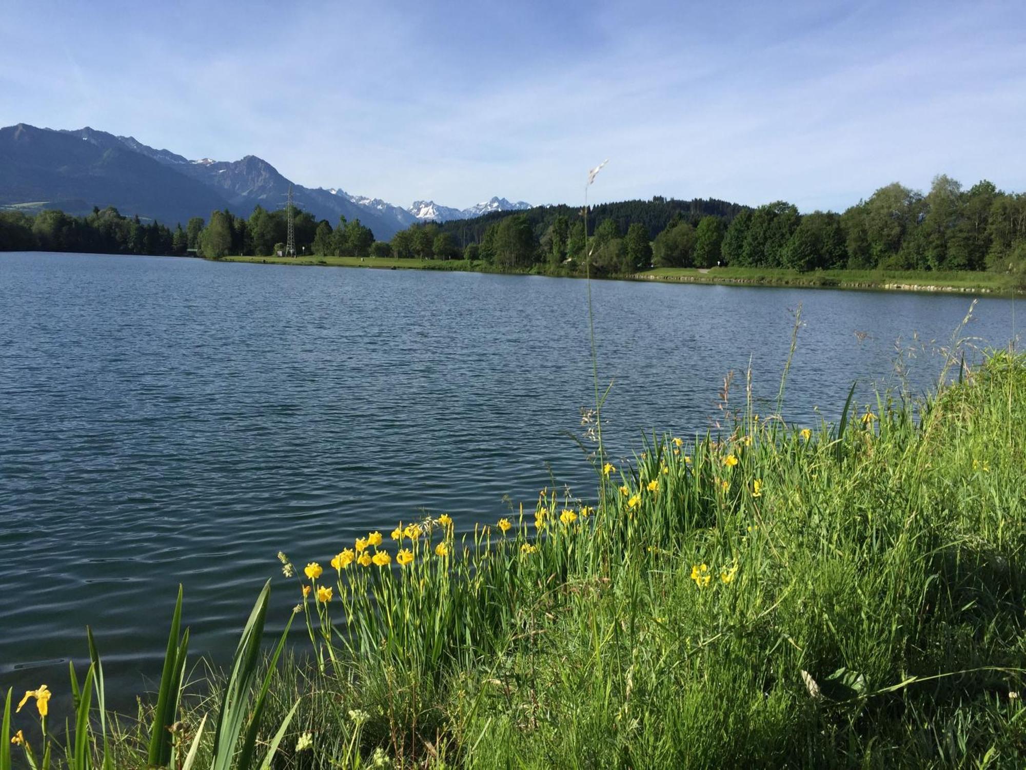 Tolle Wohnung Mit Sauna, Kamin Und Inklusiv Bergbahntickets Im Sommer Ofterschwang Ngoại thất bức ảnh